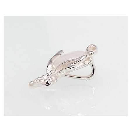 Sudraba kulons 2301581_CZ+MS, Sudrabs	925°, Cirkoni , Mēnesakmens 