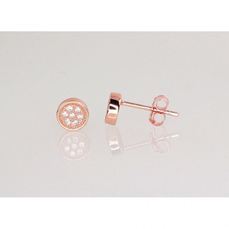 Sudraba auskari  2202966(PAu-R)_CZ, Sudrabs	925°, sarkanais zelts (pārklājums), Cirkoni 