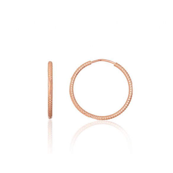 Zelta auskari-riņķīši