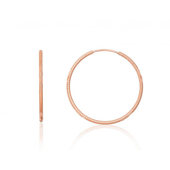 Zelta auskari-riņķīši