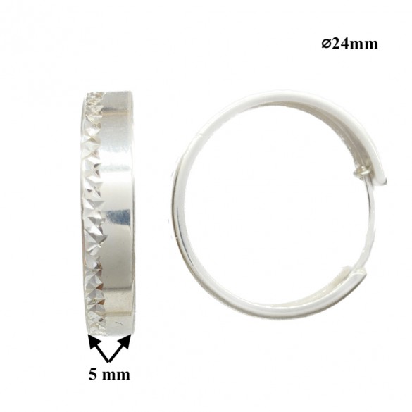 Sudraba Auskari-Riņķīši