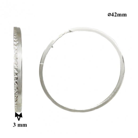 Sudraba Auskari-Riņķīši