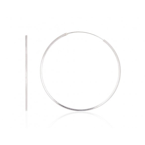 Sudraba auskari-riņķīši