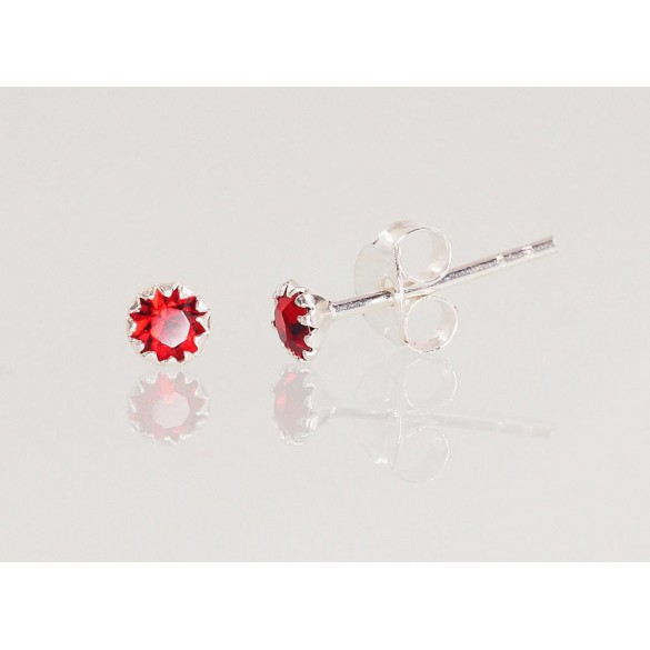 Sudraba auskari-puseti