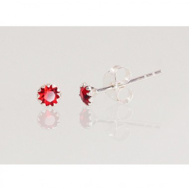 Sidabriniai auskarai –pusetai0