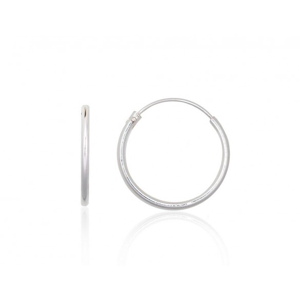 Sudraba auskari-riņķīši