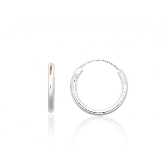 Sudraba auskari-riņķīši