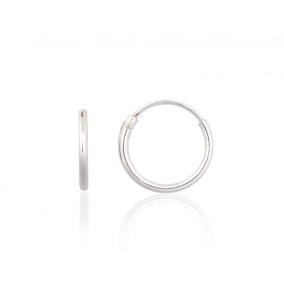 Sudraba auskari-riņķīši