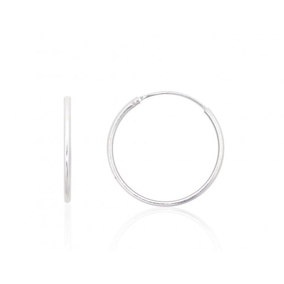 Sudraba auskari-riņķīši