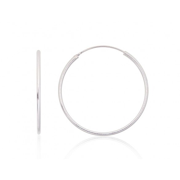 Sudraba auskari-riņķīši