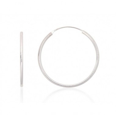 Sidabriniai auskarai –žiedai0