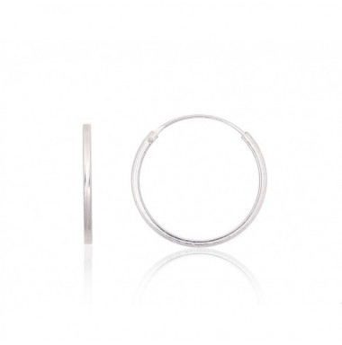 Sidabriniai auskarai –žiedai0