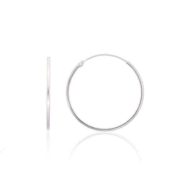 Sudraba auskari-riņķīši