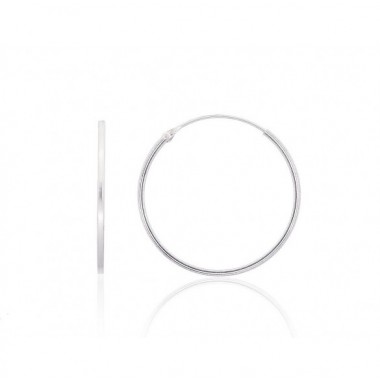 Sudraba auskari-riņķīši