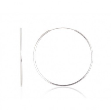 Sudraba auskari-riņķīši