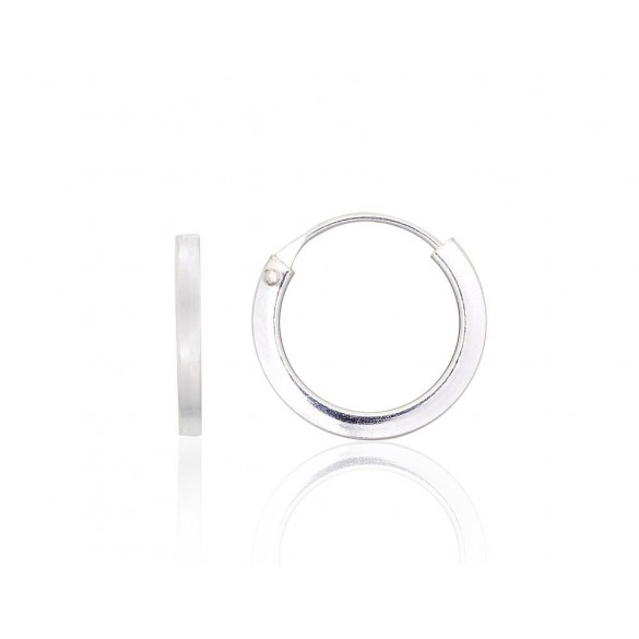 Sudraba auskari-riņķīši