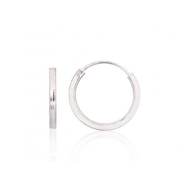 Sudraba auskari-riņķīši