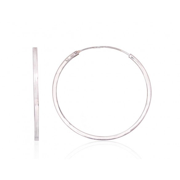 Sudraba auskari-riņķīši