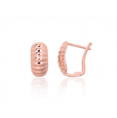 Sudraba auskari ar angļu slēdzēju