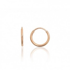 Auksiniai auskarai –žiedai0