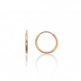 Auksiniai auskarai –žiedai0