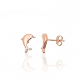 Sidabriniai auskarai –pusetai0