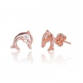 Auksiniai auskarai –pusetai0