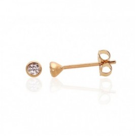 Auksiniai auskarai –pusetai0