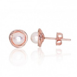 Auksiniai auskarai –pusetai0