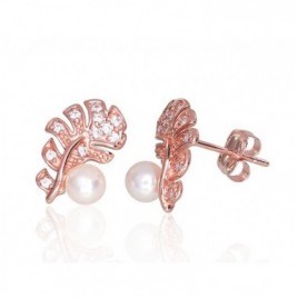 Auksiniai auskarai –pusetai0