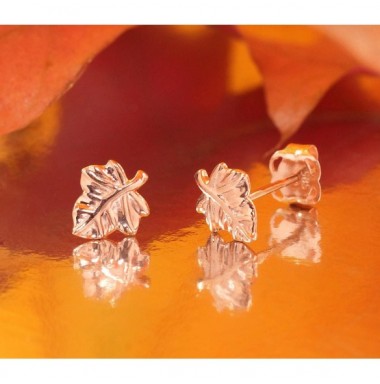 Zelta auskari-puseti