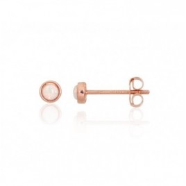 Auksiniai auskarai –pusetai0