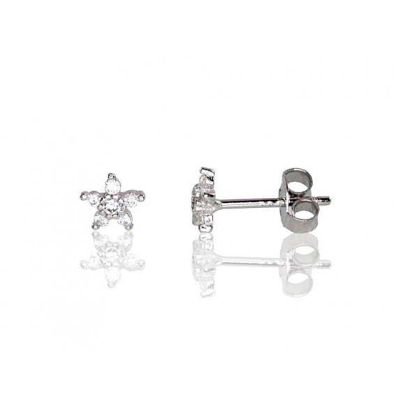 Sudraba auskari-puseti 2202968(PRh-Gr)_CZ, Sudrabs	925°, rodijs (pārklājums), Cirkoni 