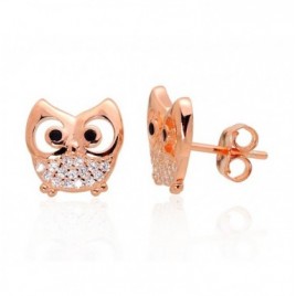 Sidabriniai auskarai –pusetai0