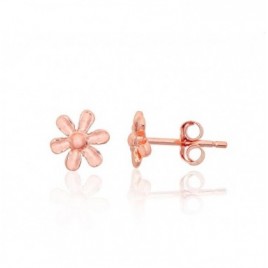 Sidabriniai auskarai –pusetai0