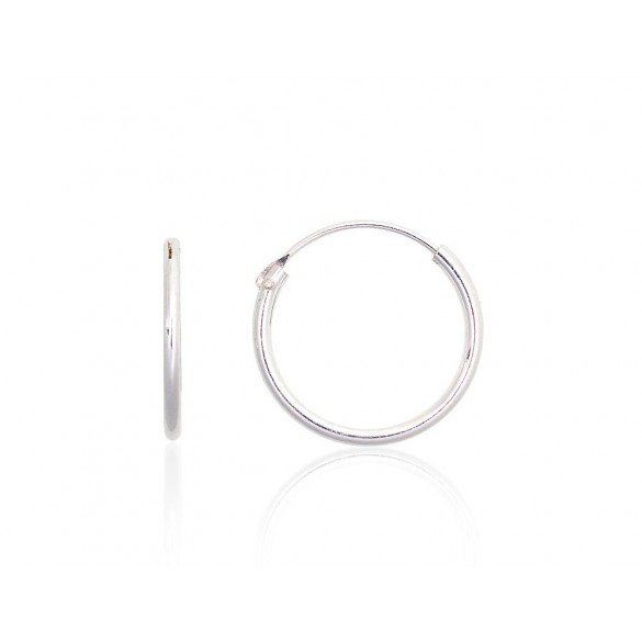 Sudraba auskari-riņķīši