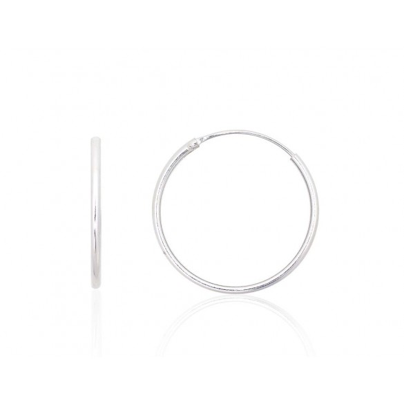 Sudraba auskari-riņķīši