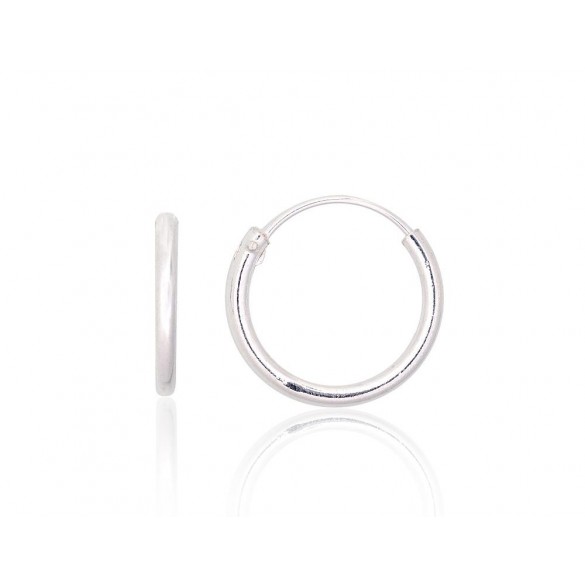 Sudraba auskari-riņķīši