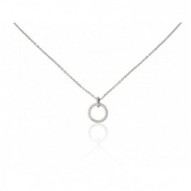 Sidabrinis vėrinys0