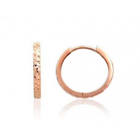 Auksiniai auskarai su apvaliu segtuku0