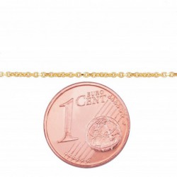 Auksinė grandinėlė Anchor 1 mm2