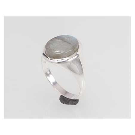 Sudraba gredzens 2101445_LD, Sudrabs	925°, Labradors 