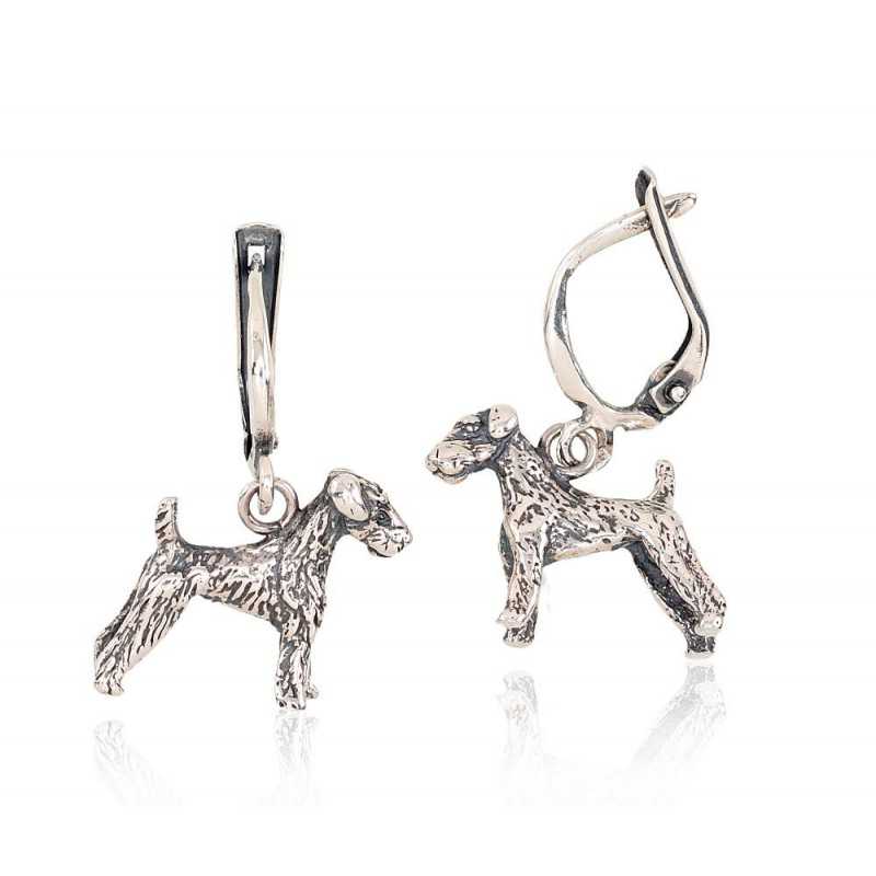 Sudraba auskari  2202488(POx-Bk), Sudrabs	925°, oksids (pārklājums)